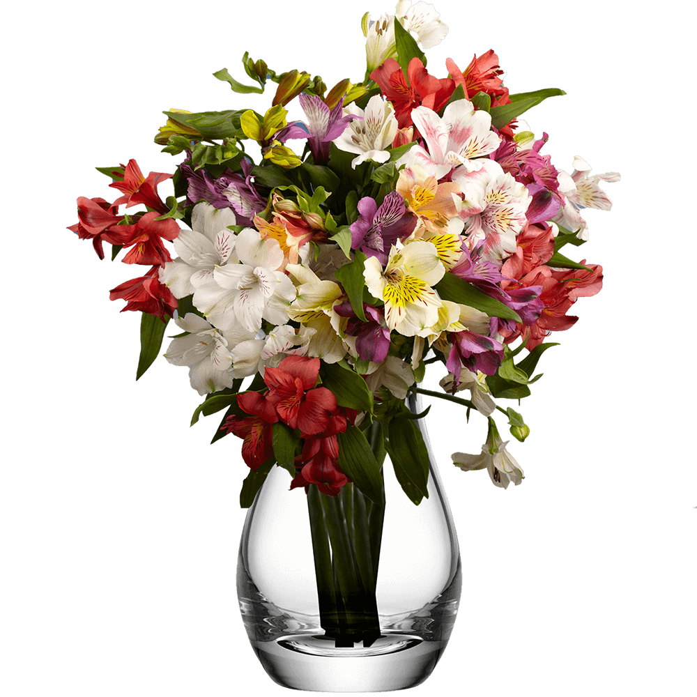 Alstroemerias Mix and Match Your Choice - Image 3