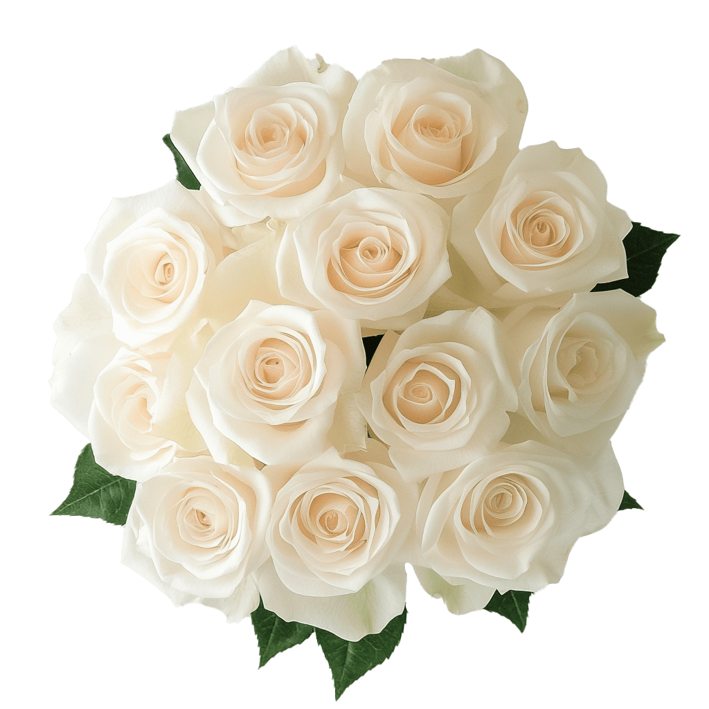 White Roses Bouquet