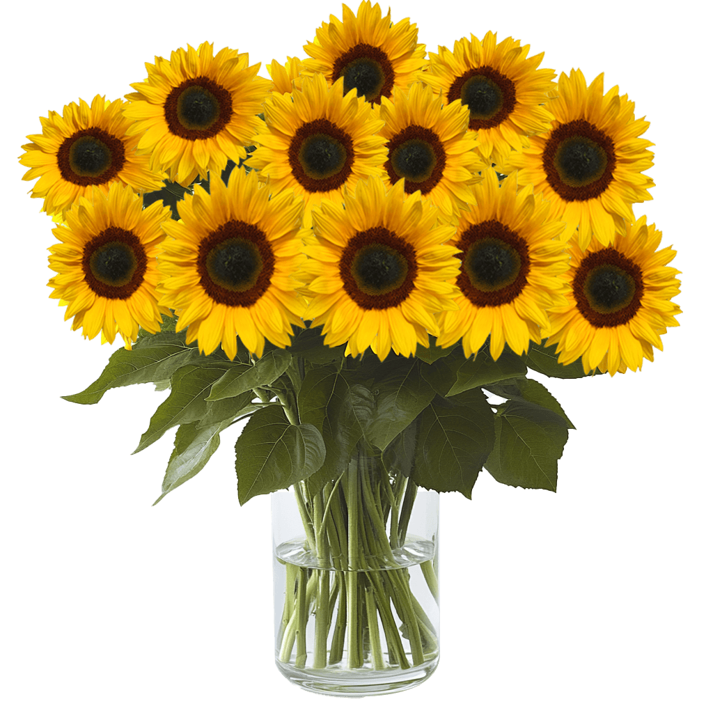 Sunlowers - Image 3