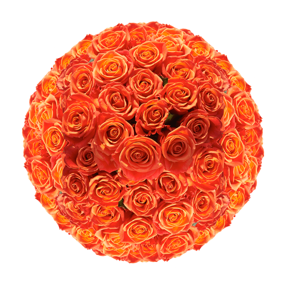 Orange Roses Bouquet - Image 3