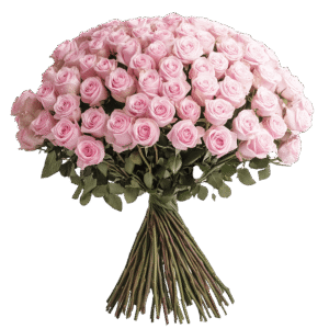 Blush Rose Bouquet