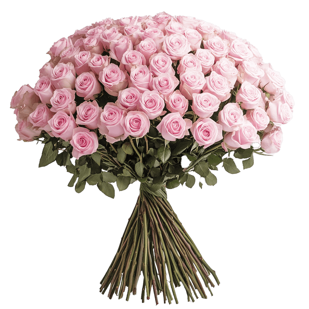 Blush Rose Bouquet