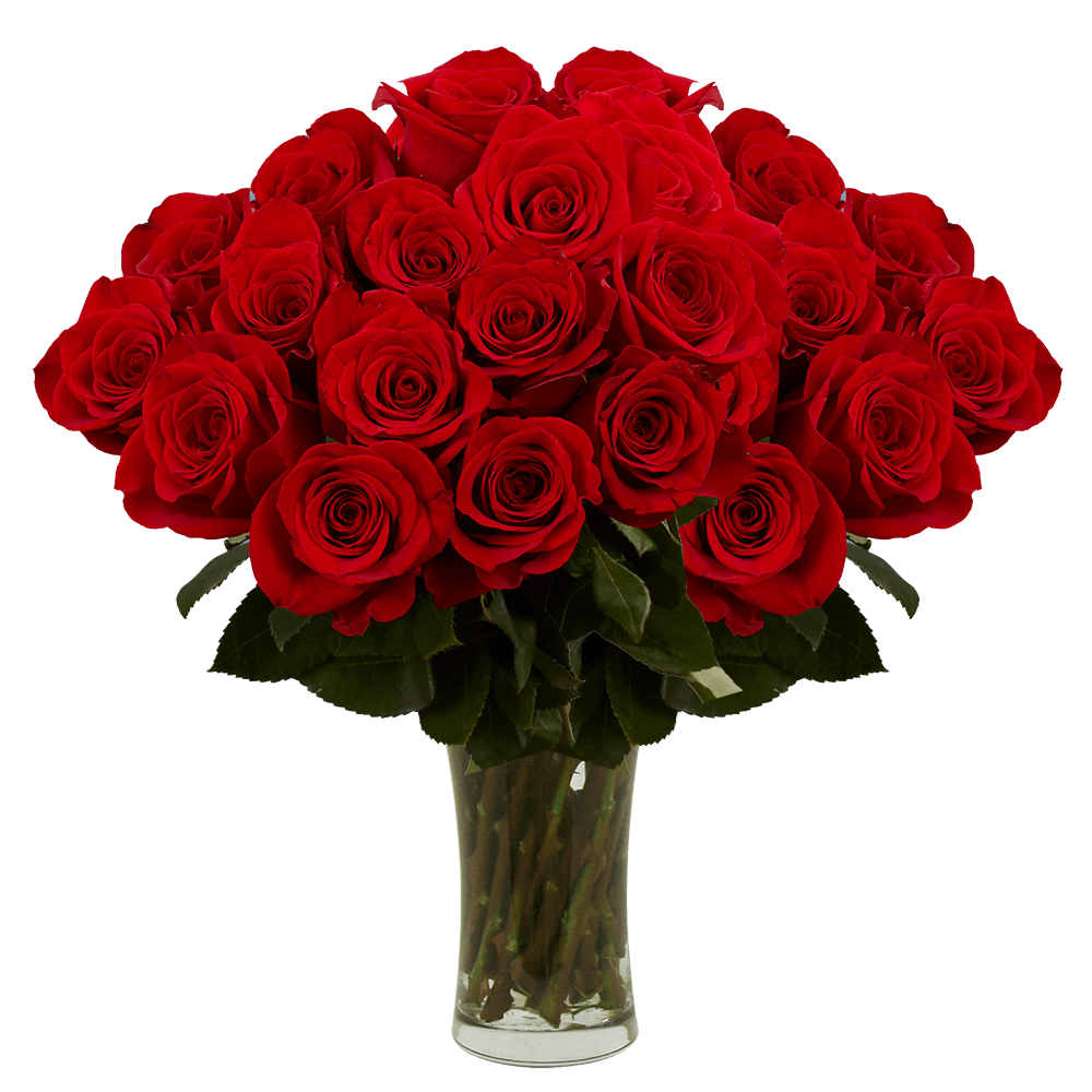 Red Roses Bouquet
