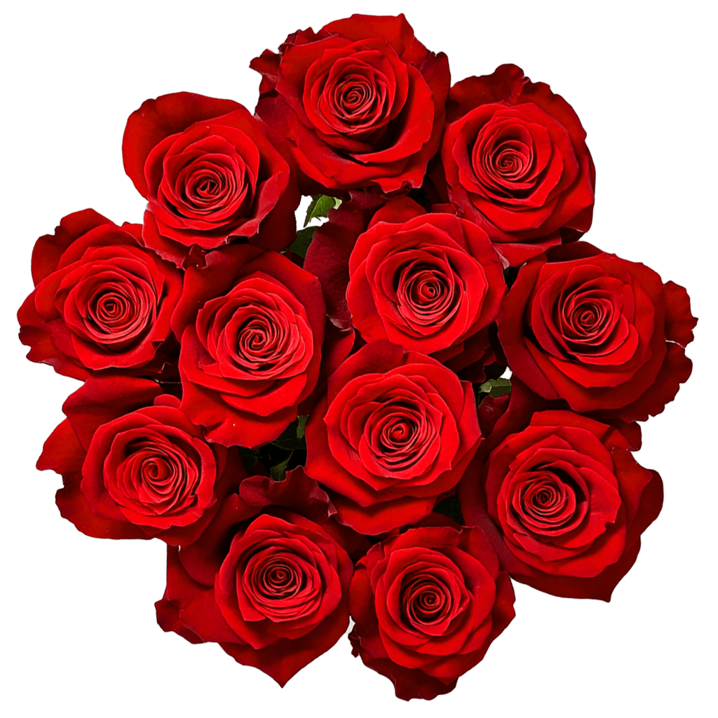 Red Roses Bouquet - Image 2