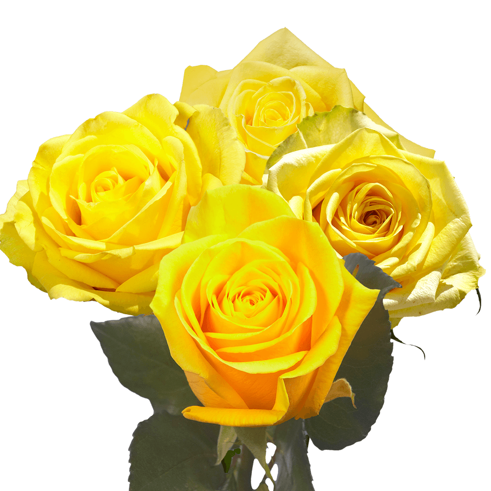 Yellow Roses Bouquet - Image 2
