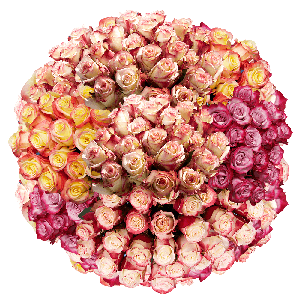 50 Stems of Your Choice of up to 2 Colors Roses - Image 4