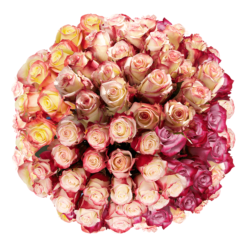 50 Stems of Your Choice of up to 2 Colors Roses